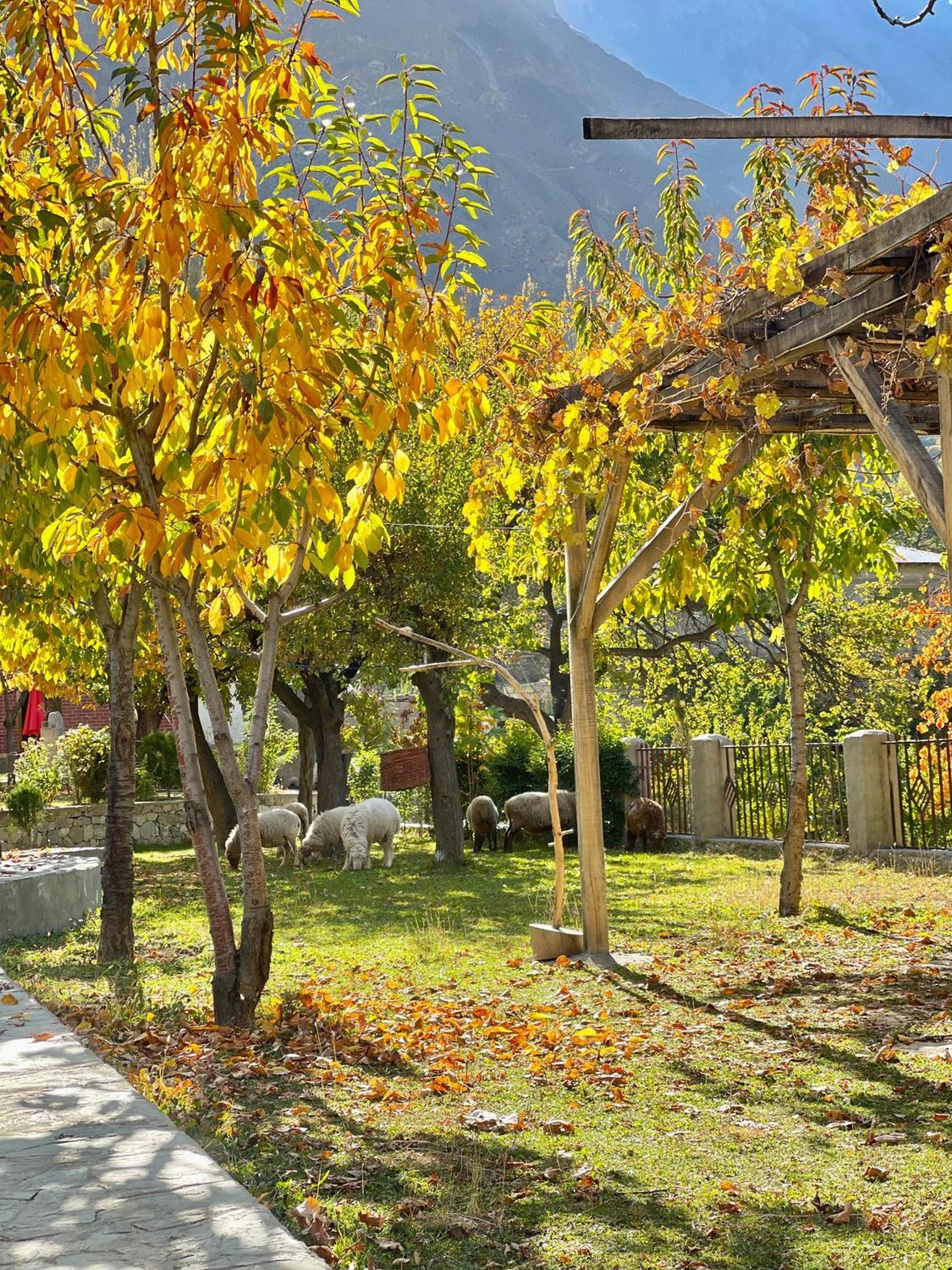 Dumani Nagar Hotel & Resort Karimabad  Экстерьер фото