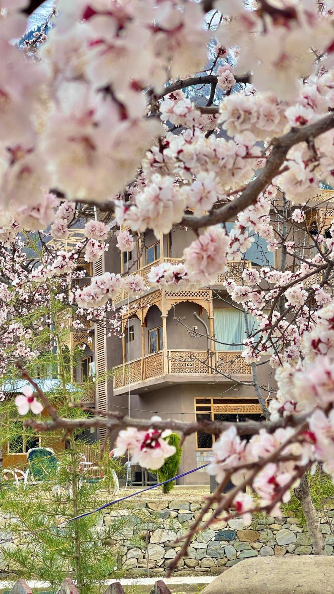 Dumani Nagar Hotel & Resort Karimabad  Экстерьер фото