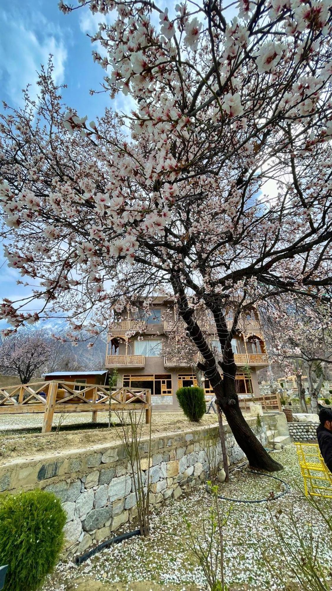 Dumani Nagar Hotel & Resort Karimabad  Экстерьер фото